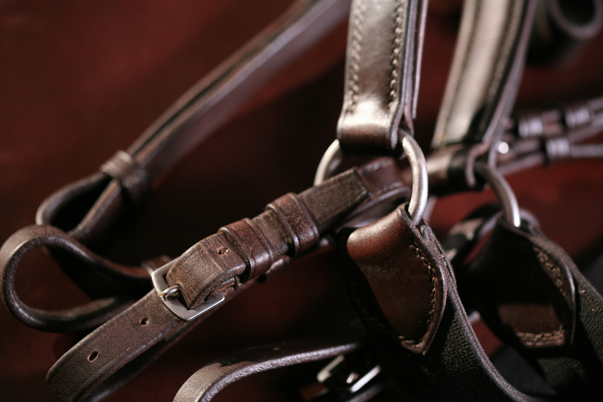 Saddlery & Harness matthew christian payne